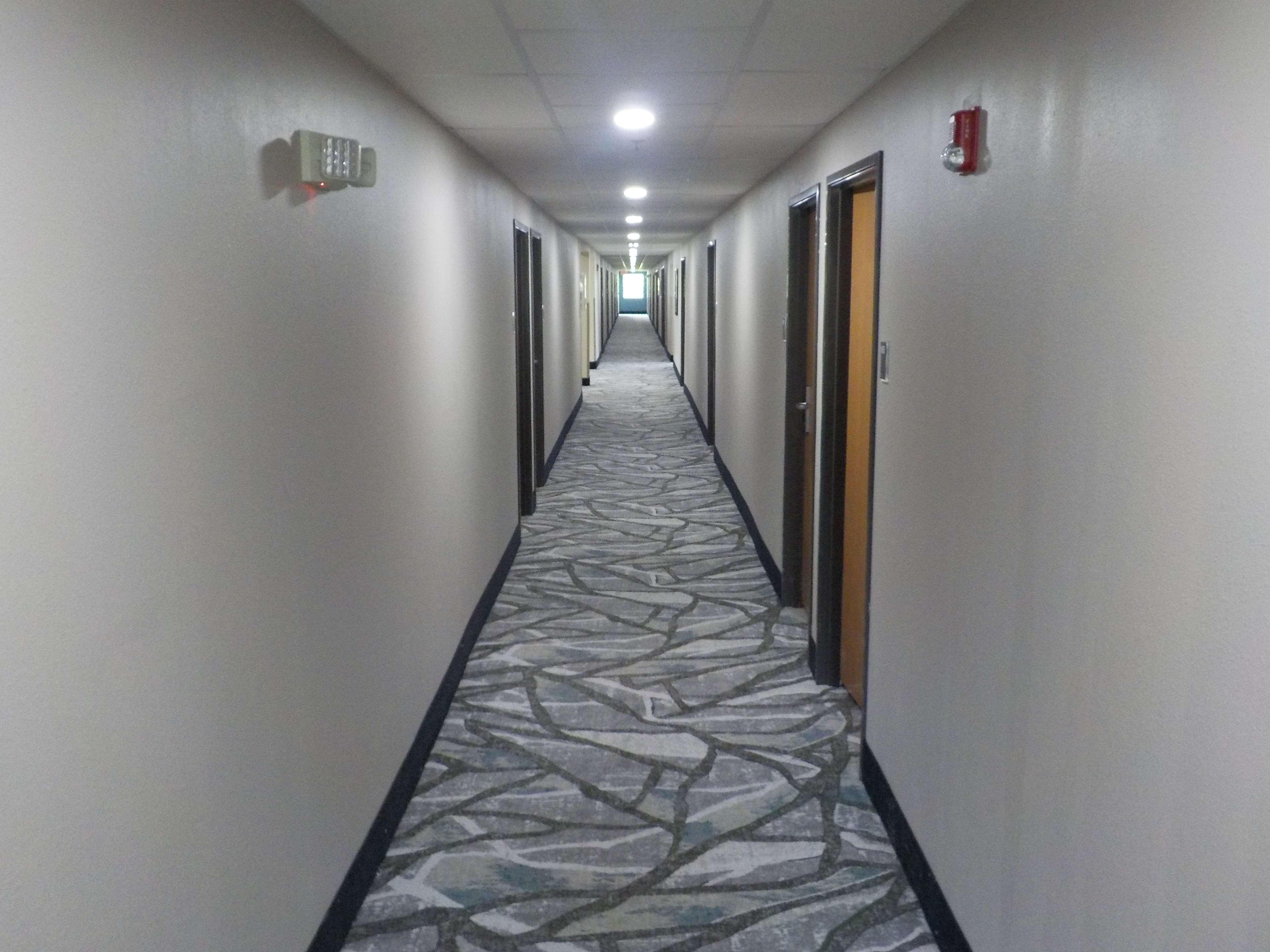 Mj Inn And Suites Marienville Nội địa bức ảnh